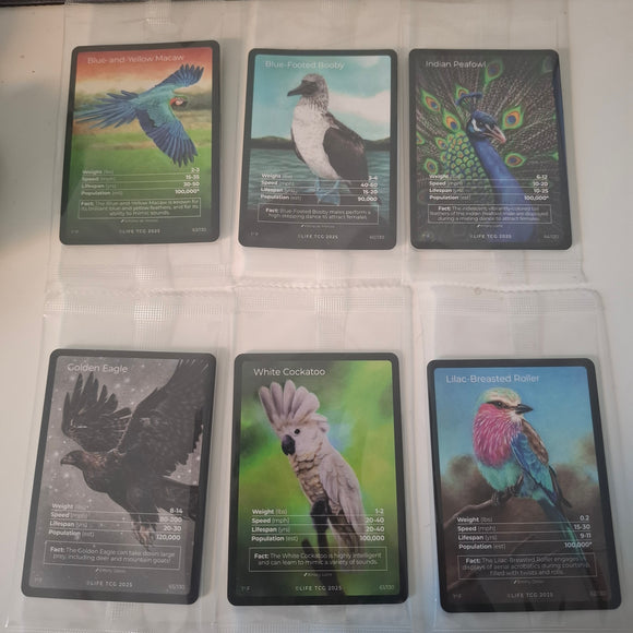 Life tcg birds set : 6 promos ! Look pics