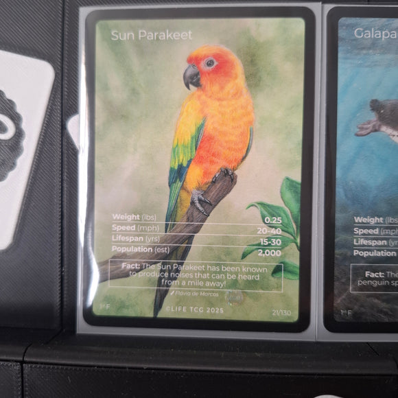 Birds : FA N°21 & RARE 1/130 x 2