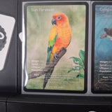 Birds : FA N°21 & RARE 1/130 x 2